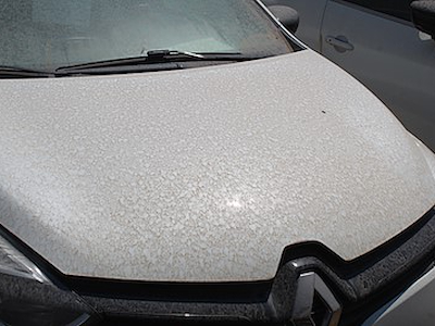 Achetez RENAULT CLIO sur Ayvens Carmarket