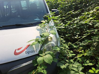 Achetez RENAULT KANGOO EXPRESS MAXI ZE - 2013 sur Ayvens Carmarket