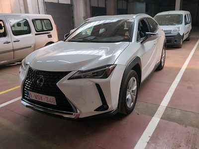 Buy LEXUS UX 250H on Ayvens Carmarket