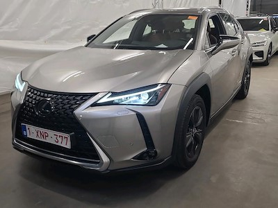 Buy LEXUS UX 250H on Ayvens Carmarket