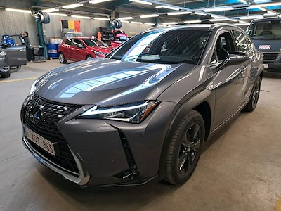 Buy LEXUS UX 250H on Ayvens Carmarket