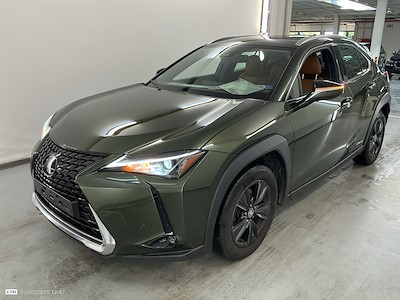 Kaufe LEXUS UX 250h bei Ayvens Carmarket