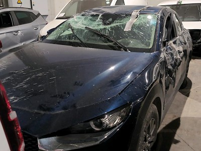 Ayvens Carmarket den MAZDA CX-30 satın al