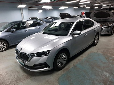 Ayvens Carmarket den SKODA OCTAVIA satın al
