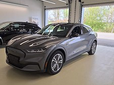 Kaufe FORD MUSTANG MACH-E 76KWH 198KW STA bei Ayvens Carmarket