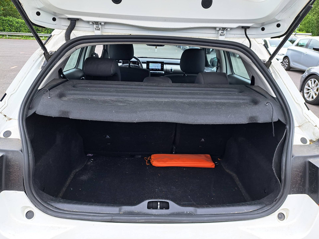 Citroën C4 Cactus BlueHDi 100ch S&S Feel Business // VEHICULE GRELE / HAIL-DAMAGED VEHICLE
