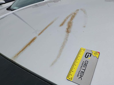 Acquista CHEVROLET CHEVROLET ONIX PLUS a Ayvens Carmarket