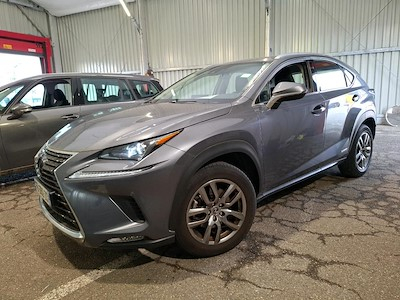 Buy LEXUS NX on Ayvens Carmarket