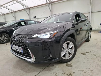 Kaufe LEXUS UX bei Ayvens Carmarket