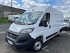 Buy FIAT DUCATO on Ayvens Carmarket