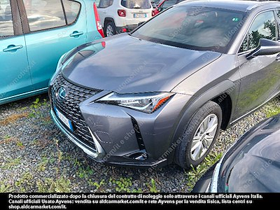 Buy LEXUS LEXUS UX HYBRID BUSINESS 2WD FP on Ayvens Carmarket