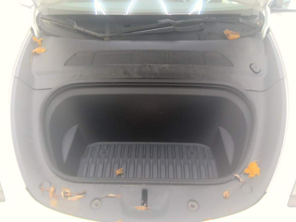 Foto 10 van Tesla Model Y
