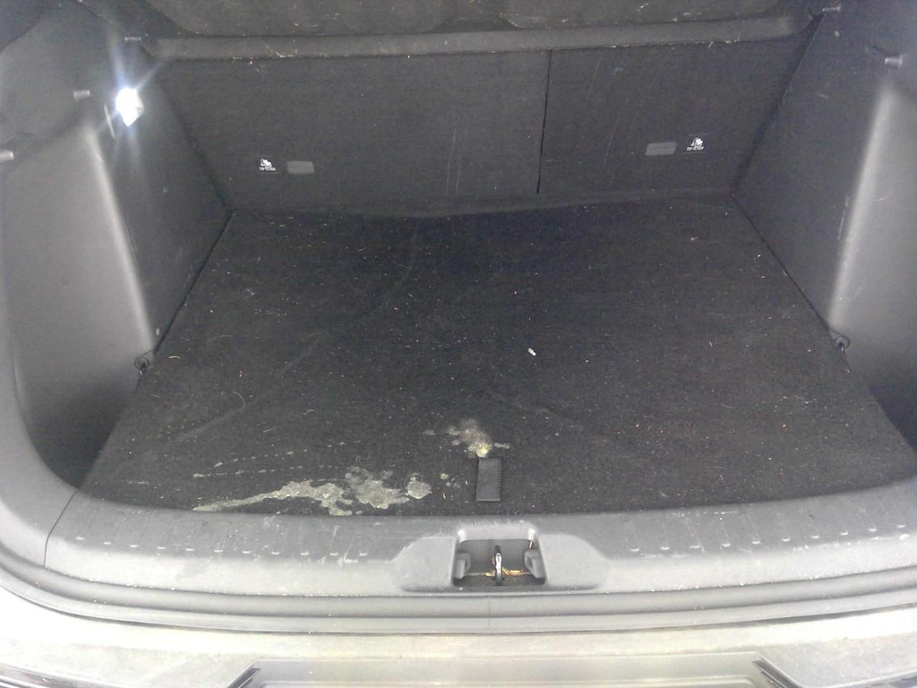 Foto 34 van BYD Atto 3