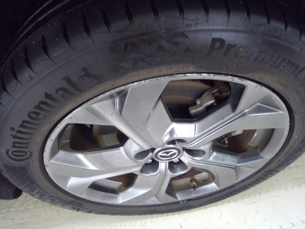 Foto 40 van Mazda MX-30