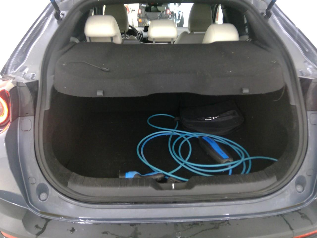 Foto 10 van Mazda MX-30