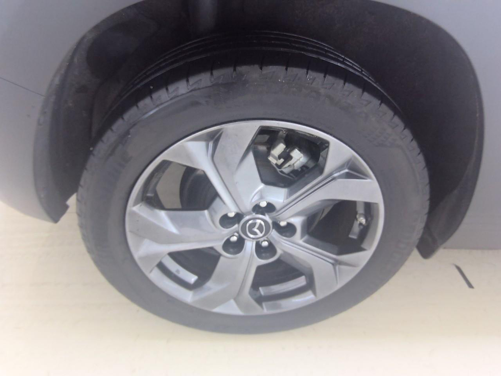Foto 13 van Mazda MX-30