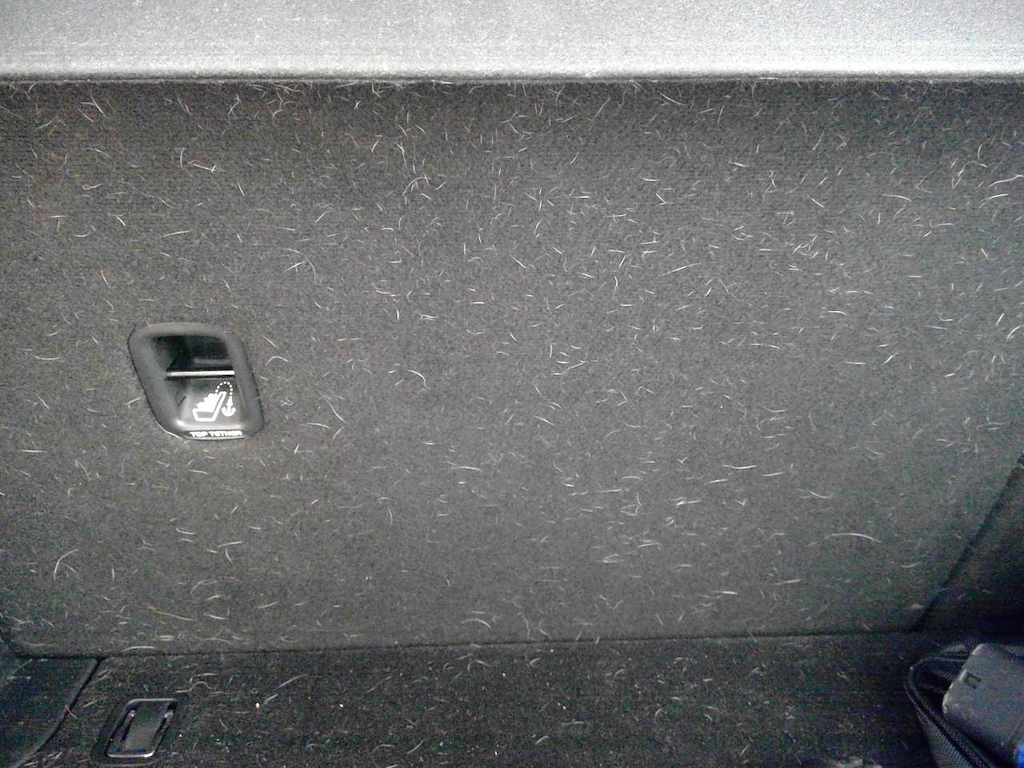 Foto 23 van Hyundai Kona