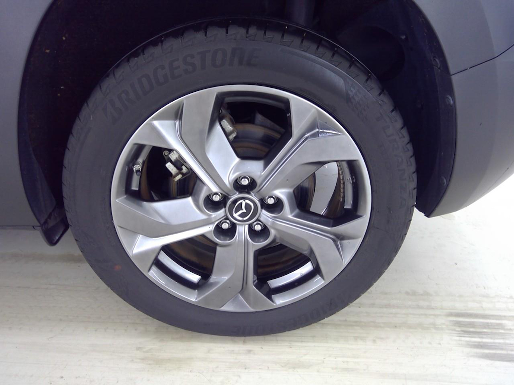 Foto 12 van Mazda MX-30