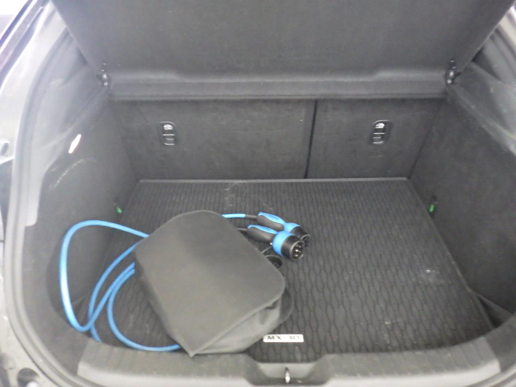 Foto 10 van Mazda MX-30