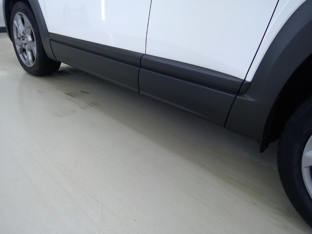 Foto 13 van Mazda MX-30