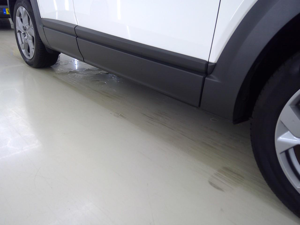 Foto 14 van Mazda MX-30
