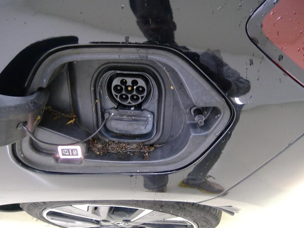 Foto 11 van Opel Corsa-e