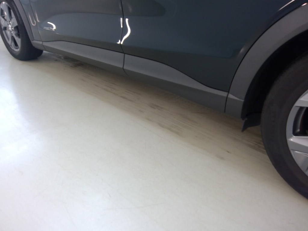 Foto 13 van Ford Mustang