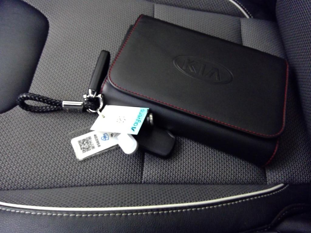 Foto 18 van Kia Niro