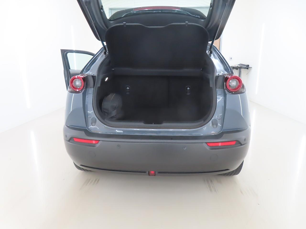 Foto 10 van Mazda MX-30