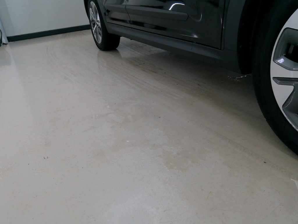 Foto 15 van Kia Niro