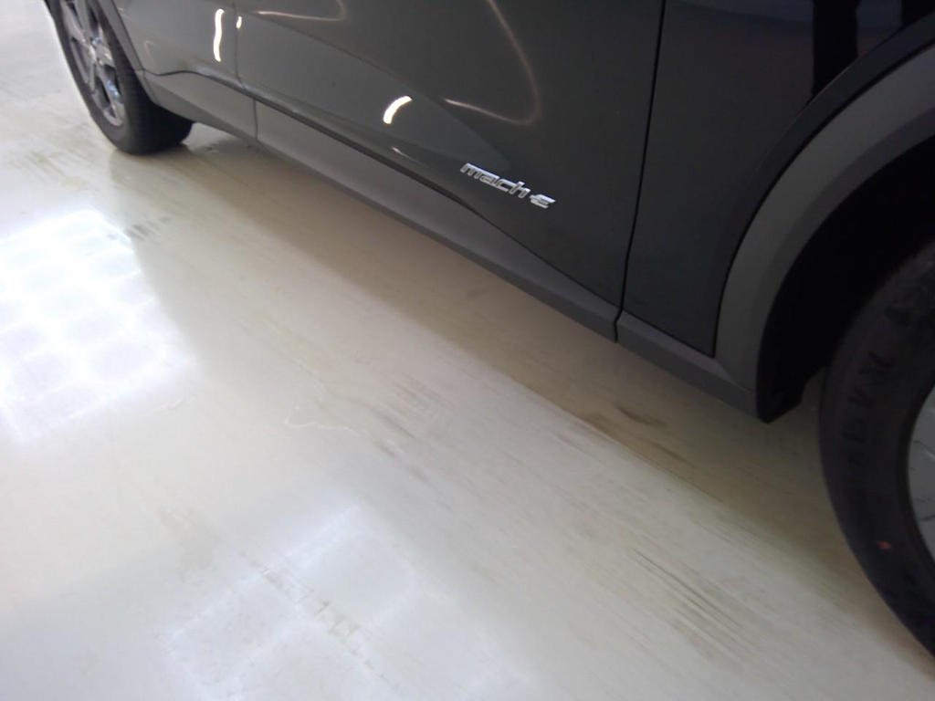 Foto 16 van Ford Mustang