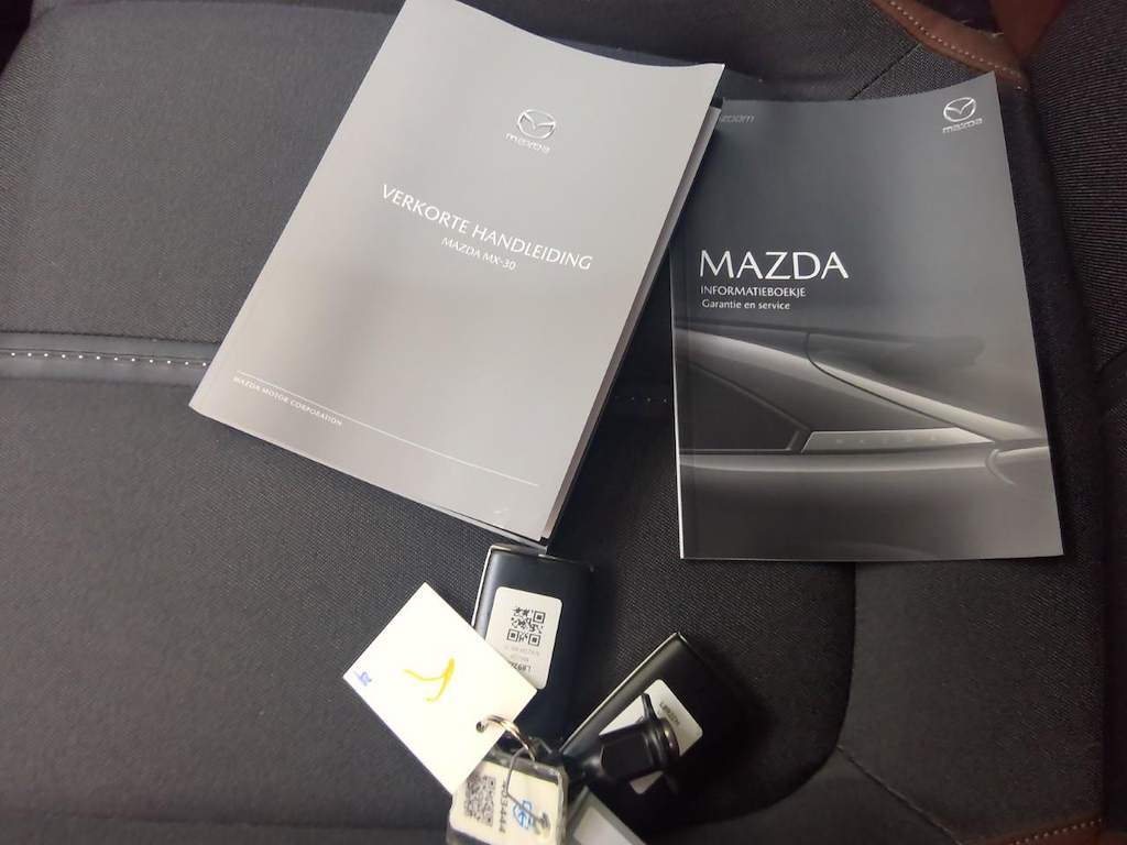Foto 16 van Mazda MX-30