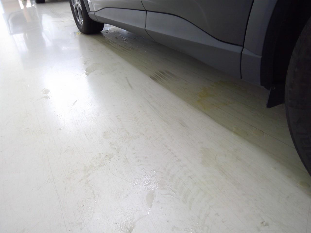 Foto 13 van Ford Mustang