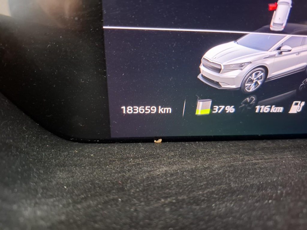 Foto 7 van Skoda Enyaq