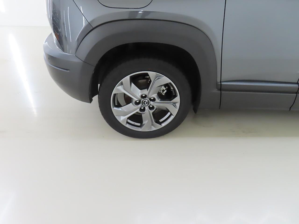 Foto 14 van Mazda MX-30