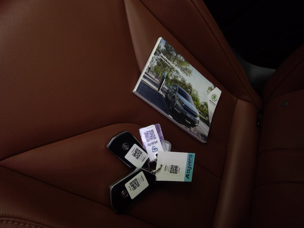 Foto 18 van Skoda Enyaq