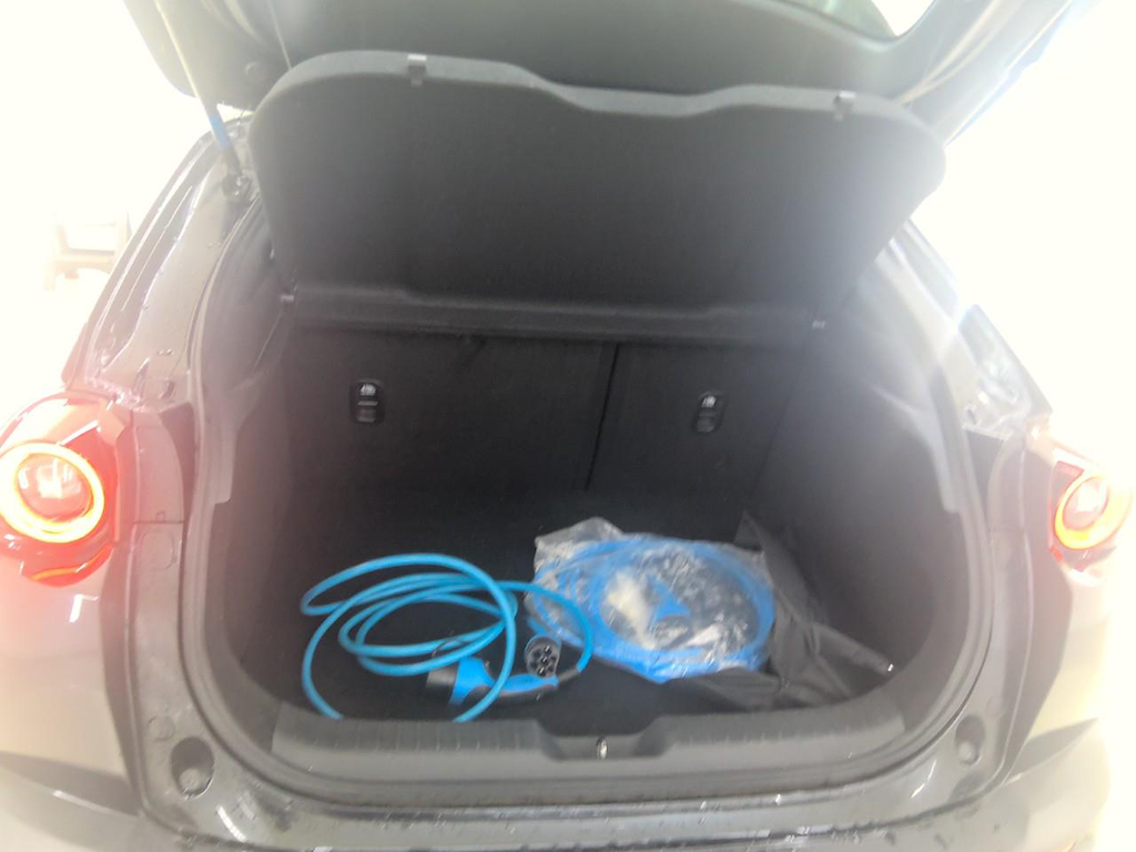 Foto 10 van Mazda MX-30