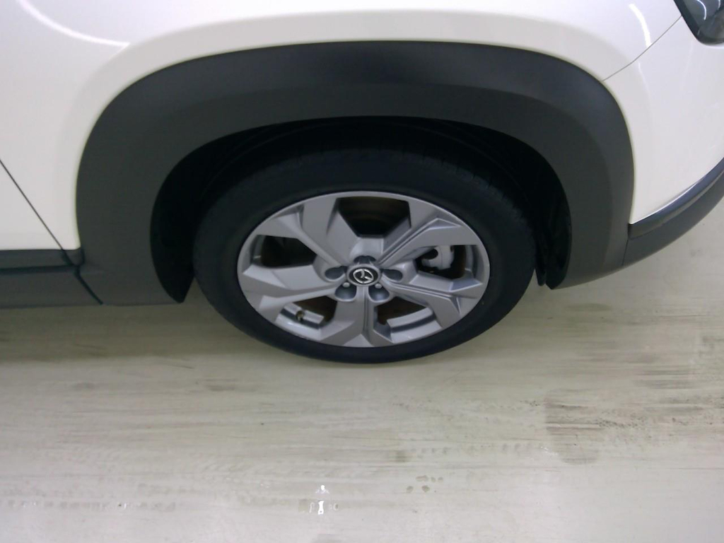 Foto 32 van Mazda MX-30