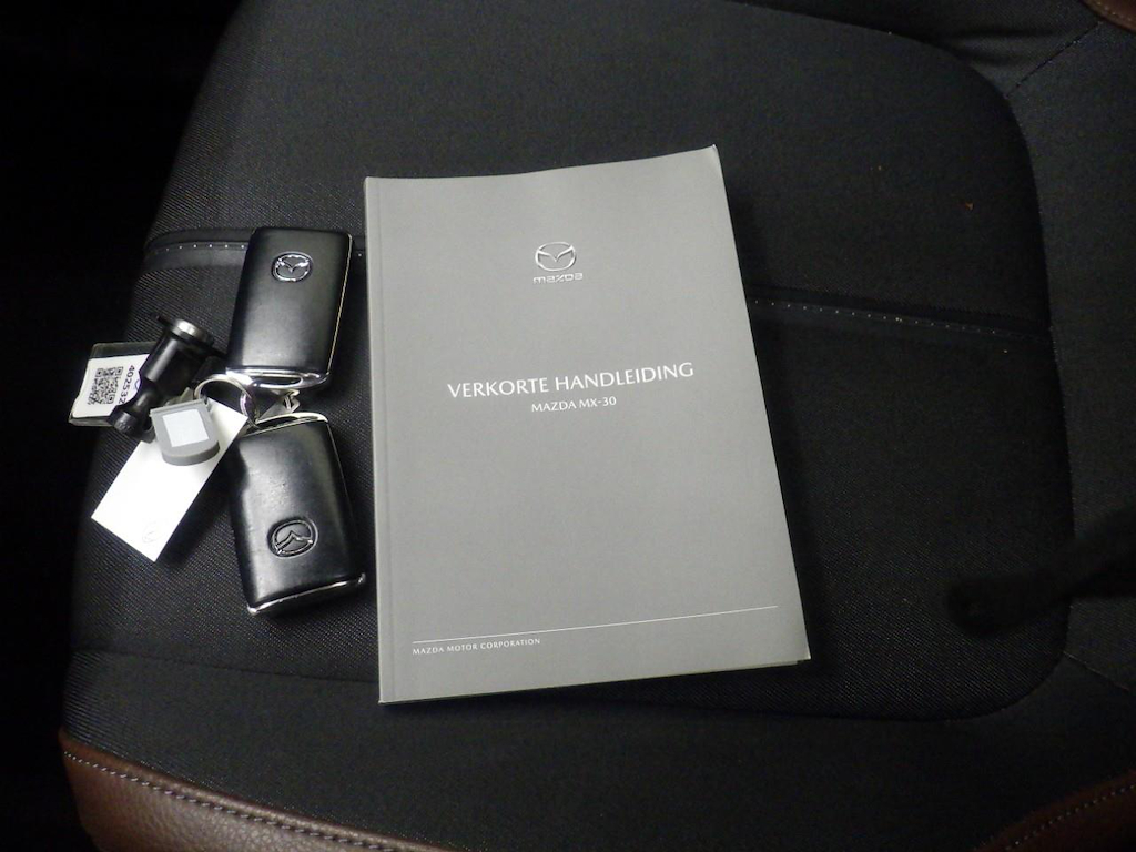 Foto 18 van Mazda MX-30