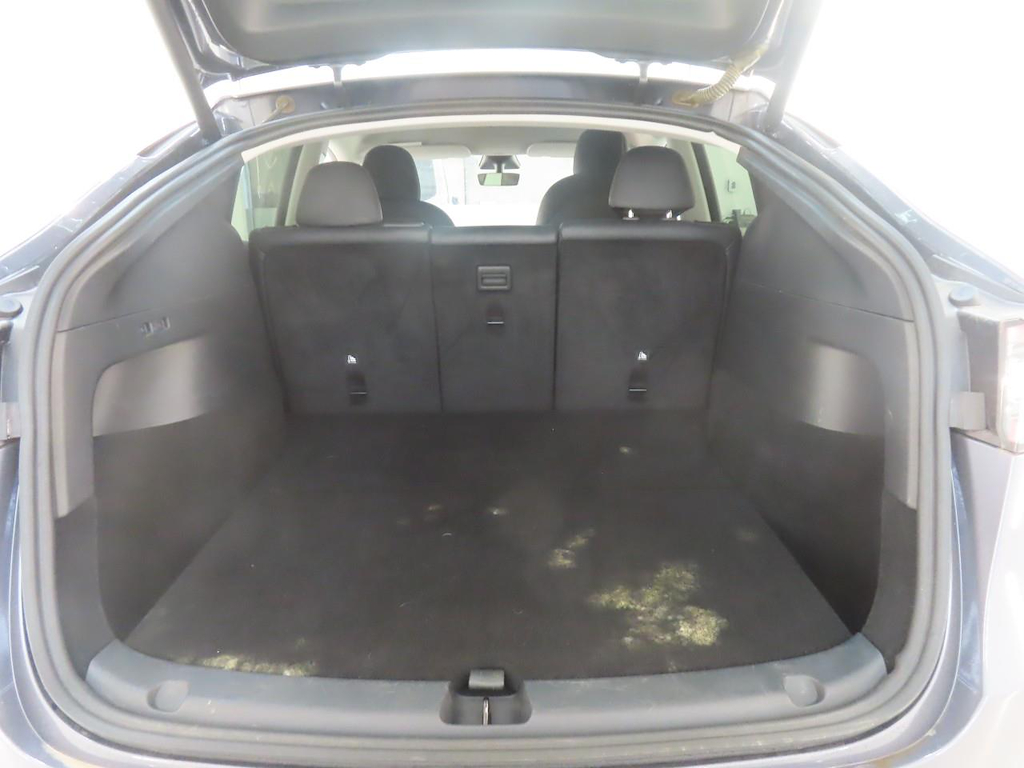 Foto 10 van Tesla Model Y