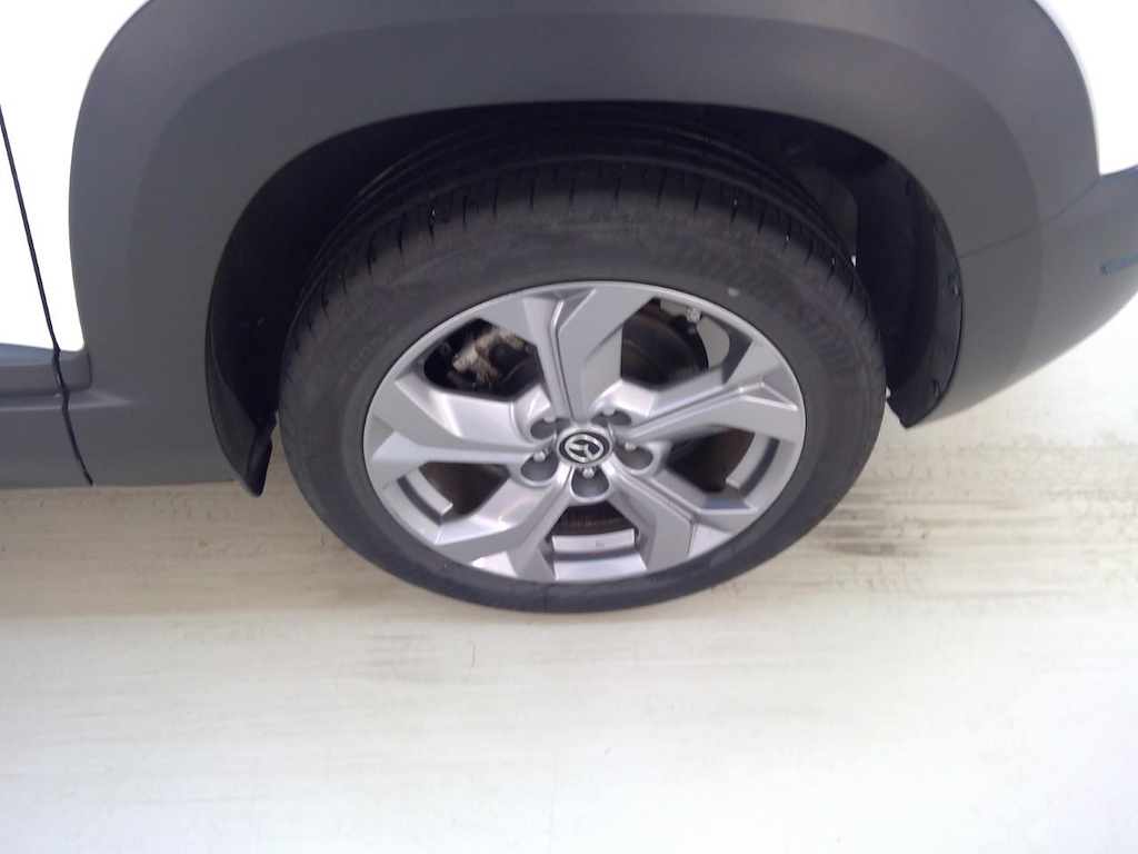 Foto 14 van Mazda MX-30