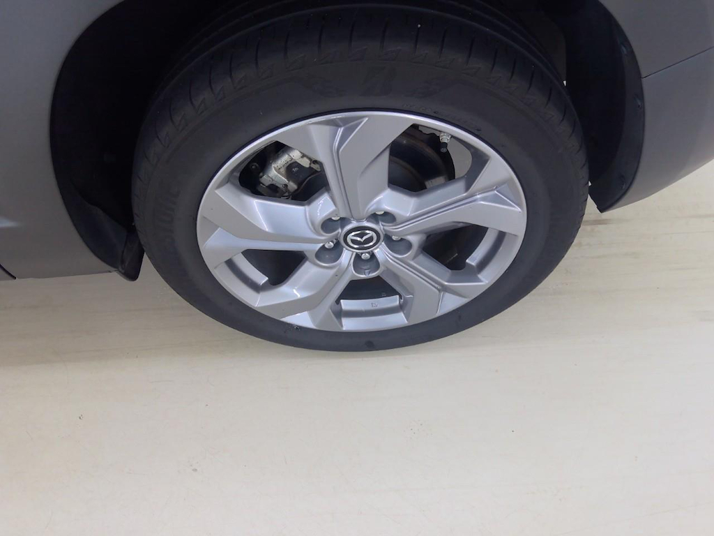 Foto 25 van Mazda MX-30