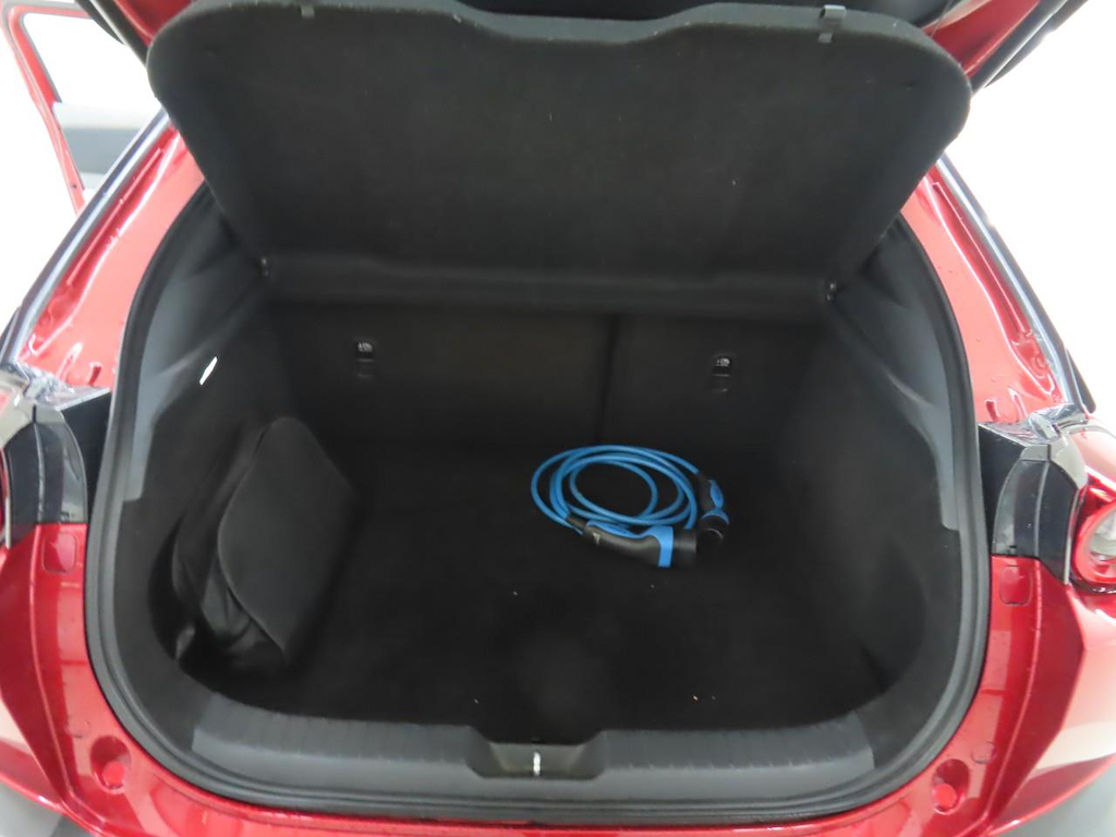 Foto 10 van Mazda MX-30