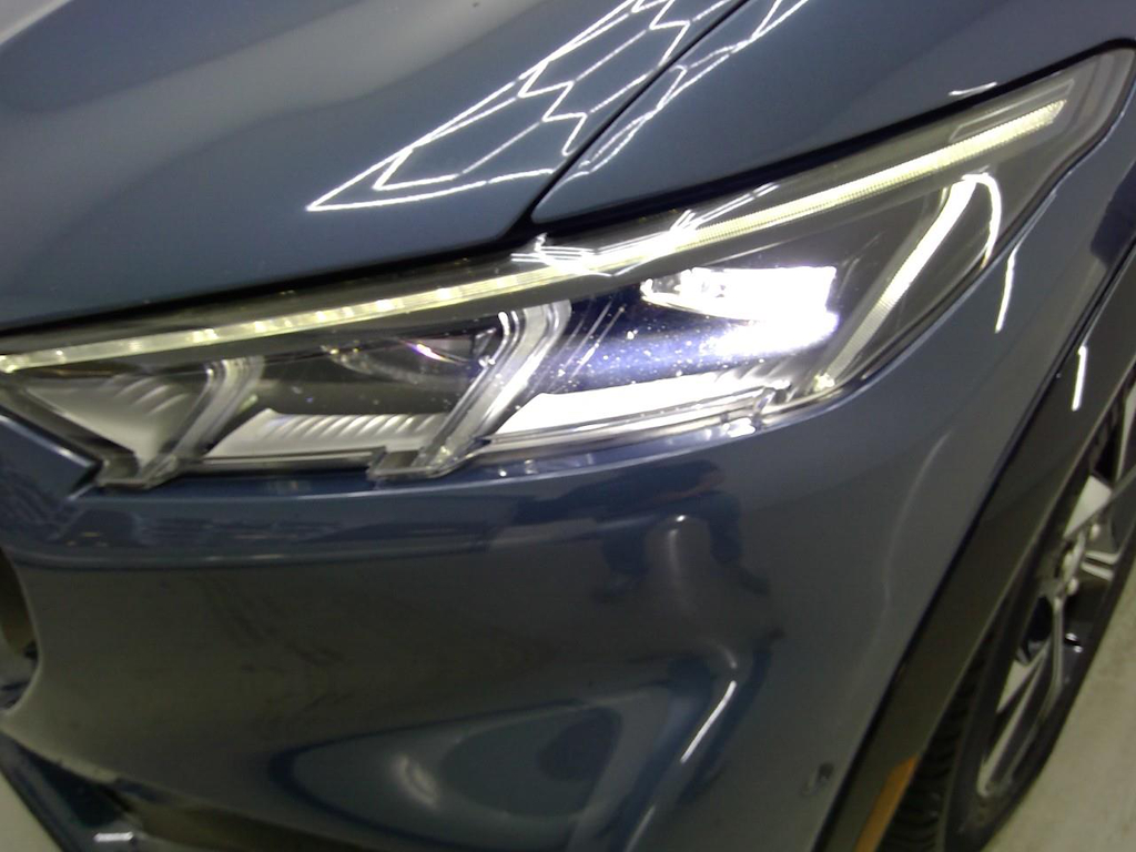 Photo 24 of Ford Mustang