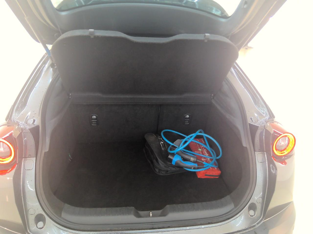 Foto 10 van Mazda MX-30