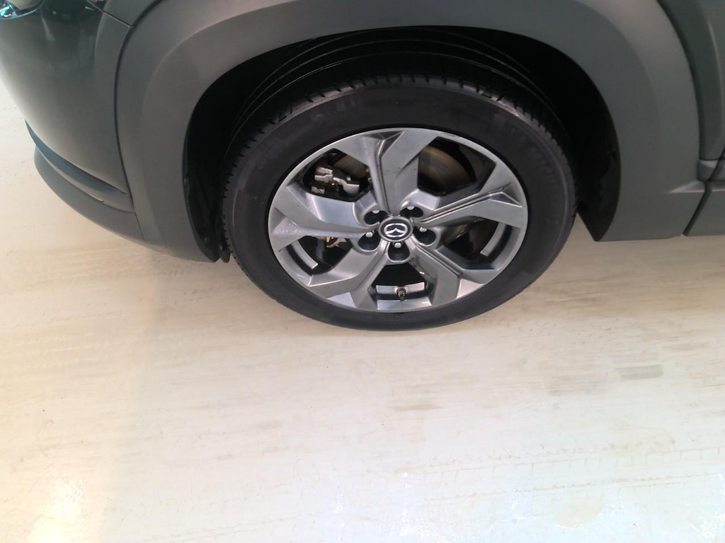 Foto 22 van Mazda MX-30