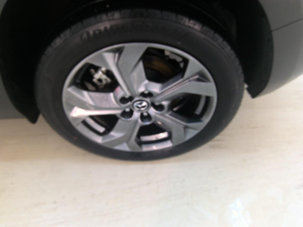 Foto 8 van Mazda MX-30