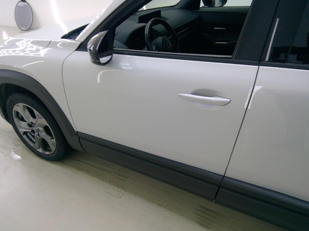 Foto 23 van Mazda MX-30