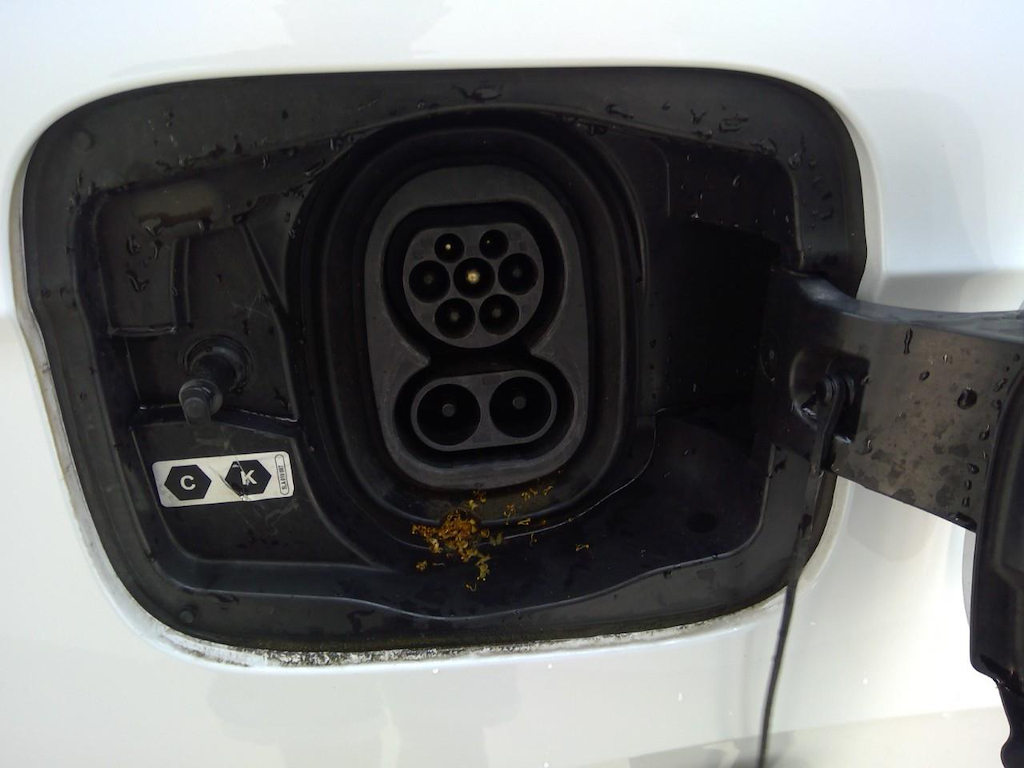 Foto 12 van Skoda Enyaq