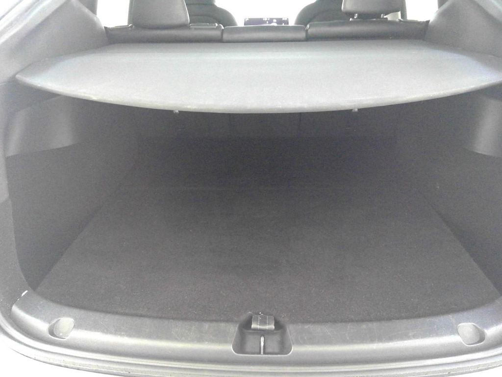 Foto 19 van Tesla Model Y